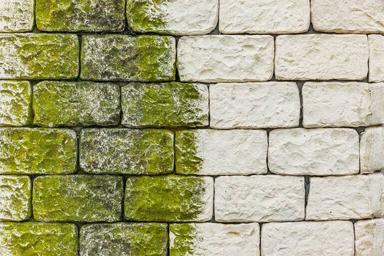 gruenbelag_natursteinmauer
