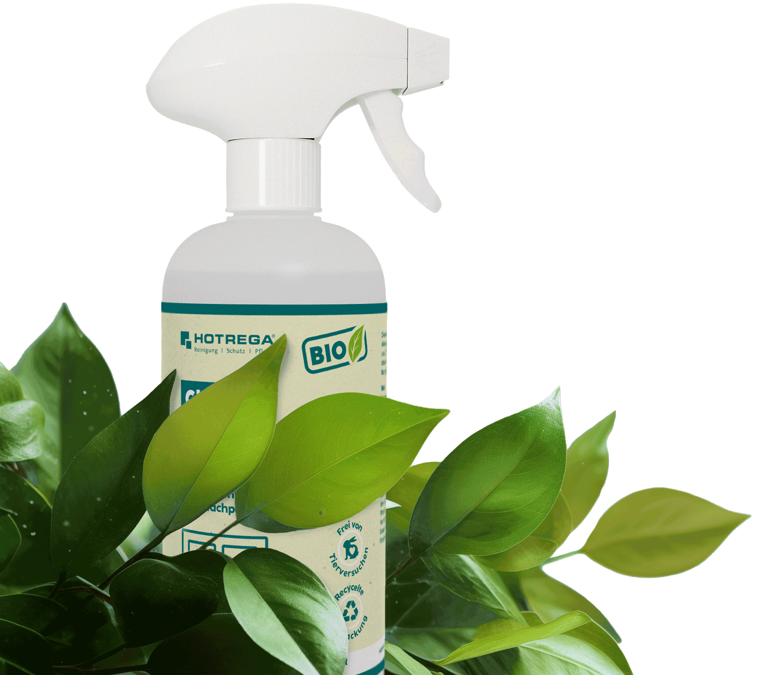 hotrega-bio-spruehflasche-mit-deko-freigestellt